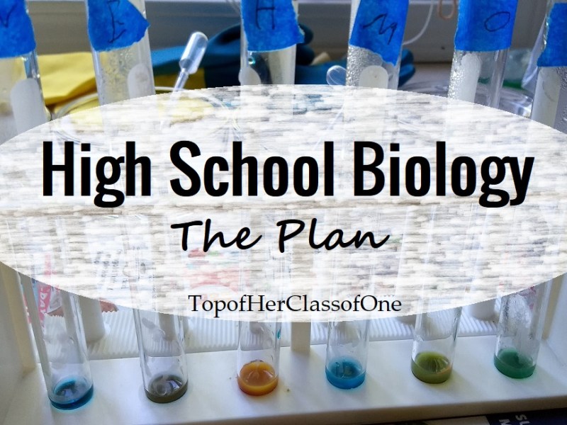 High School Biology – The&nbsp;Plan
