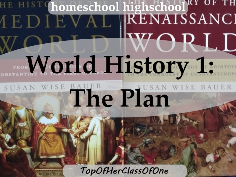 High School World History 1 – The&nbsp;Plan