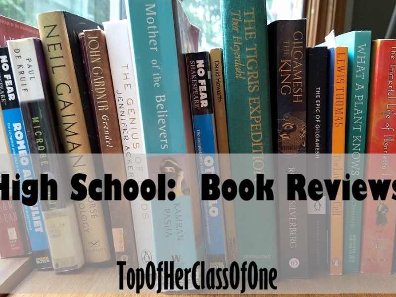 High School: Book&nbsp;Reviews